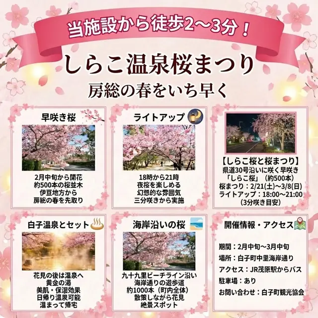 しらこ温泉桜まつりのご案内